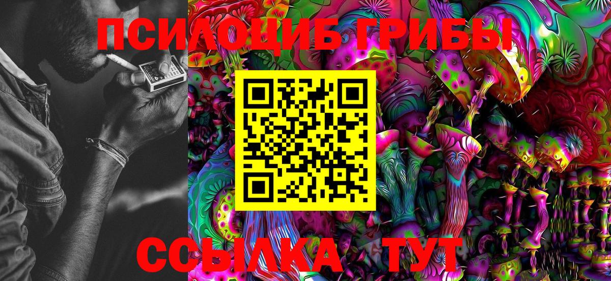 Псилоцибиновые грибы MAGIC MUSHROOMS  Галлюциногенные грибы Psilocybine cubensis  Гусь-Хрустальный  Вход с VPN 