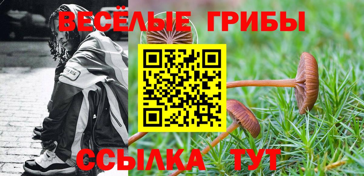 Псилоцибиновые грибы мицелий Гусь-Хрустальный